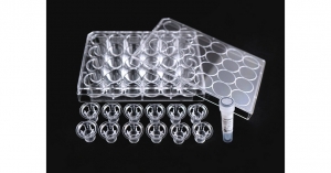 Comprehensive Analysis of the Cell Migration and Cell Invasion Assay Market