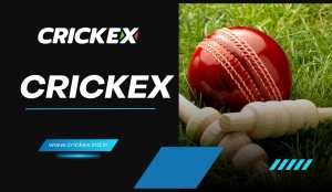 Why Fast-Paced Games Are Trending on Crickex India