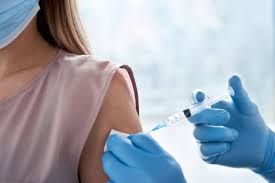 Vector Purification Market Size, Trends, and Growth Analysis 2025-2032