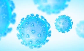 United States Nanobodies Market Size, Trends,  Growth Forecast 2025-2032