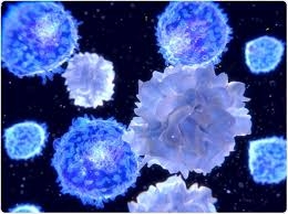 cGAS STING Pathway Market Size, Trends, and Growth Forecast 2025-2032