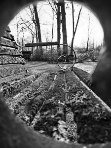 Beyond the Labels: The Journey to Reclaim Your True Self