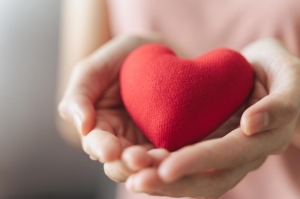 What's the Secret to Consistently Securing Vital Donations Year After Year