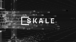 Web3 Economics 101: SKALE’s Monetization Model