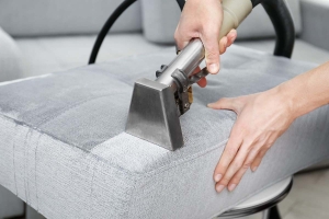 Why Bunbartha, Victoria Residents Trust Professional Couch Cleaning Services