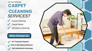 Professional Carpet Cleaning Doncaster Restore Freshness & Remove Stains Today