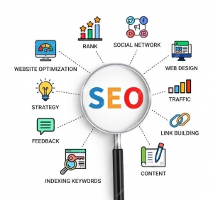 Best SEO Service Provider in Delhi: Boost Your Business Online