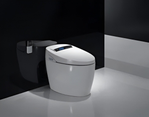How Do You Choose The Best Smart Toilet In Australia?