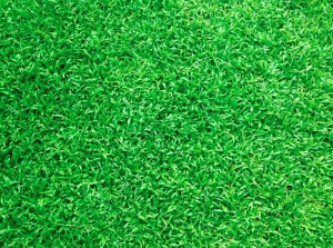 How Artificial Turf Installation Enhances Your Fort Lauderdale Outdoor Space