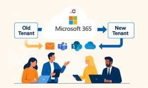 Preparing Your Team for a Smooth Microsoft 365 Tenant Migration Process