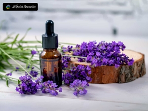 Why Stillpoint Aromatics Essential Oils Stand Out from the Rest