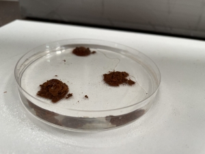 Expert LCA Services for Septic Land Capability Assessments in Victoria