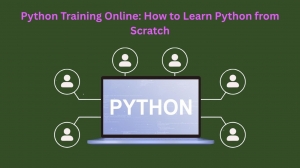 Python Training Online: How to Learn Python from Scratch