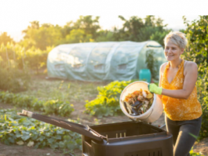 Transform Your Garden with Expert Lawn Care Solutions in Chichester