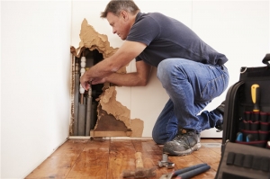 Restoring Order: A Practical Guide to Water Damage Removal