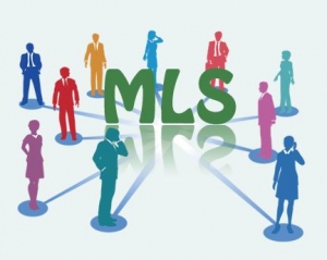 How Flat Fee MLS in Florida Can Help You Sell Your Home and Save Big