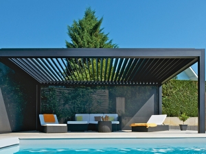 Growing Under Cover: Will a Pergola Restrict Sunlight for Garden Plants?