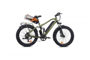 BeeCool Cruiser E-Bikes: Style and Comfort for Every Ride