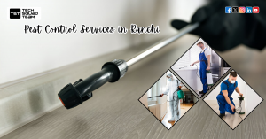 Say Goodbye to Pests with Expert Pest Control Services in Ranchi