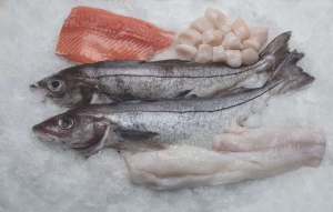Order Frozen Fish Online | Seafood Direct