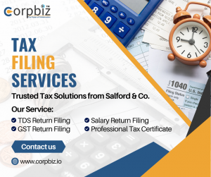 Top Tax Filing Services for Salaried & Business Professionals in India