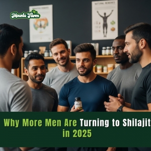 Shilajit beneficts for men - Mountofarm