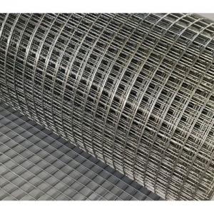 Welded Wire Mesh Roll