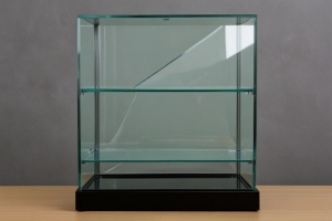 Display Glass Manufacturing Plant Setup: Business Plan with Detailed Machinery Cost Overview