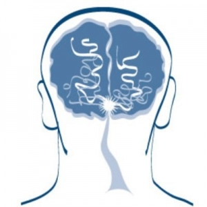 Emerging Trends in Interventional Neuroradiology Market: A Comprehensive Overview