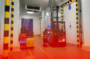 Cold Storage Solutions