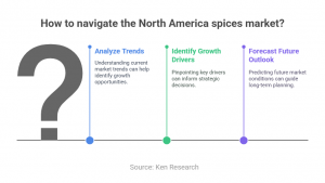 North America Spices Market