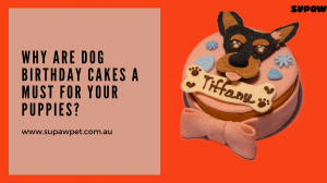 Why Are Dog Birthday Cakes a Must for Your Puppies?