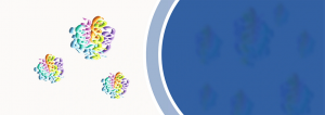 KINASE ASSAY KIT