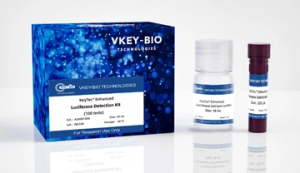 CHEMILUMINESCENCE DETECTION KIT
