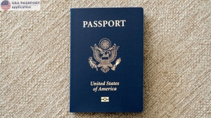 A Step-by-Step Guide to Submitting Your Passport Application Online in the USA