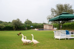 Naugaon: The Emerging Farmhouse Haven at Delhi-NCR’s Edge