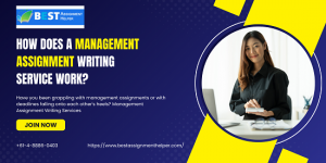 How Does A Management Assignment Writing Service Work?