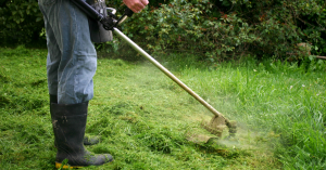 Why Choose Weed Control Services in Leander