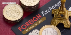 FEMA Regulation For NRIs — A Beginner’s Guide To Foreign Exchange Compliance In India