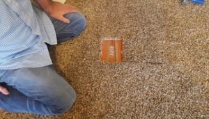 Revive Your Home with Carpet Burn Repair in Canberra