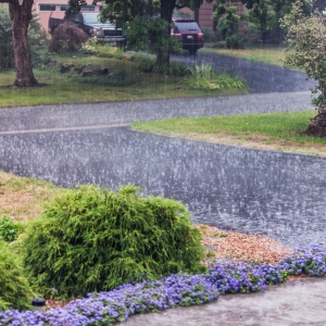 How to Protect Commercial Landscapes During a Downpour