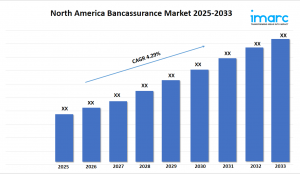 North America Bancassurance Market Size, Demand, Trends and Report 2025-2033