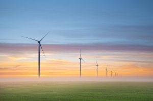 5 Digital Essentials Solar Startups Should Prioritize Early