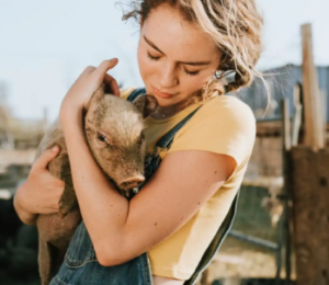 From Rescue to Recovery- 10 Ways Sanctuaries Rebuild Animal Lives