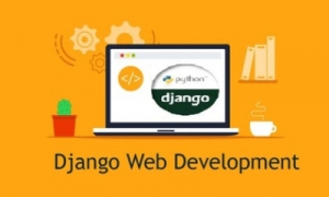 What to Expect from a Django Web Development Training Program? 