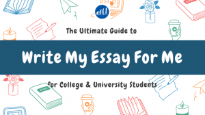  Write my essay for me