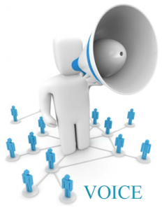 Bulk Voice Call Software: A Game-Changer in Automated Communication