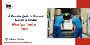 A Complete Guide toc What You Need to Know