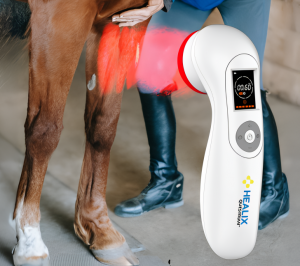 Boosting Pet Wellness with Advanced Animal Laser Therapy Machines