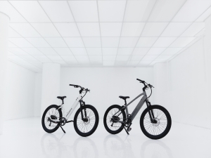 Favorite Bikes' Class 3 eBikes